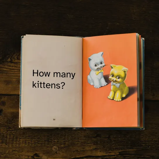 Vintage children's book with "How many kittens?" written on one page and two illustrated kittens on the other.